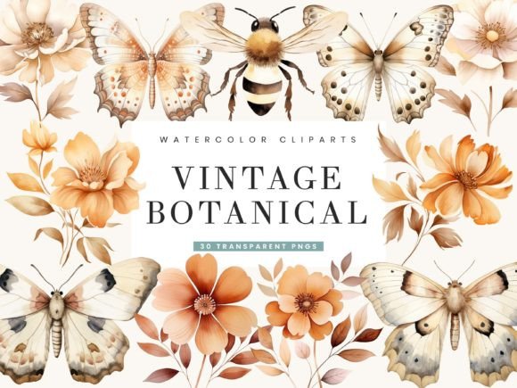 Download Watercolor Vintage Botanical Clipart - Vintage Collection