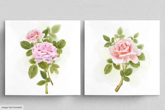 Download Beautiful Roses Hand Drawn Illustrations - Hand drawn Collection