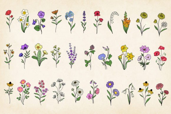 Download Hand-drawn Minimal Wildflowers Bundle - Premium Bundle