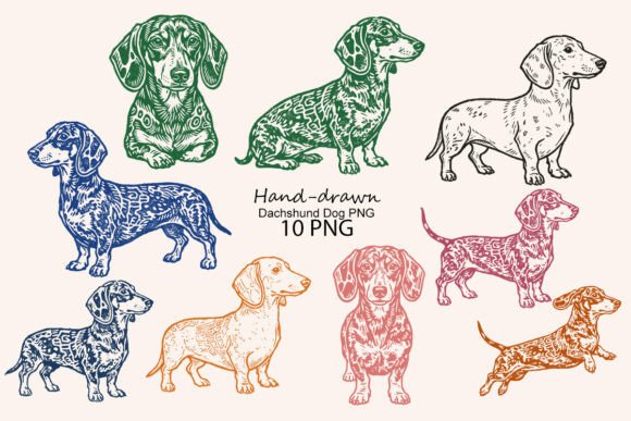 Download Hand-drawn Dachshund Dog PNG - Premium Resources