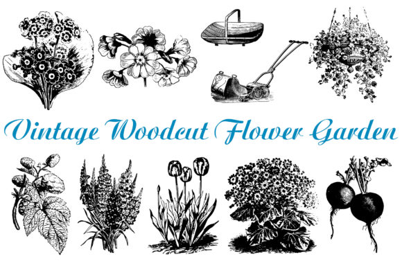 Download 74 Woodcut Vintage Floral Border Divider - Vintage Collection
